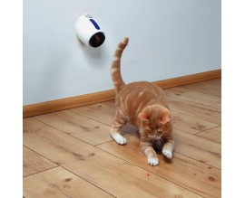 Игрушка для кошек Trixie Moving Light Указка лазерная на стену (41311)