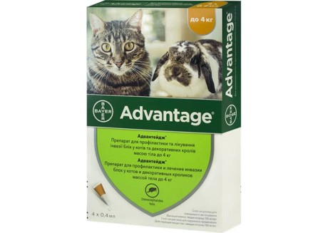 Капли от блох и клещей для кошек до 4 кг Bayer Advantage №40, 4 пипетки