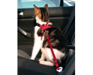 Пояс-шлея безопасности для кошек в авто Trixie (1294)