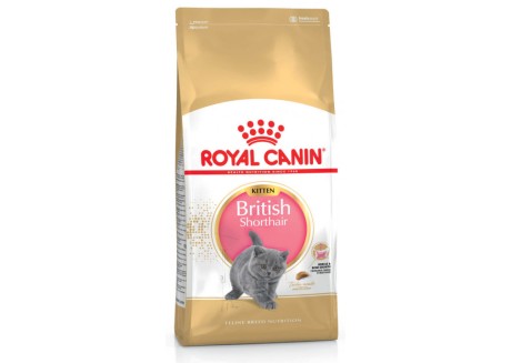 Сухой корм для котят Royal Canin KITTEN BRITISH SHORTHAIR