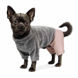 Новая коллекция одежды для собак – Весна 2020