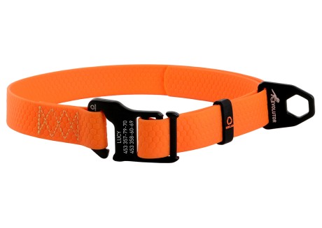 Ошейник для собак Collar Evolutor, оранжевый (25-70 см) (42434)