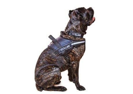 Шлея для служебных собак Collar Dog Extremе POLICE, черная