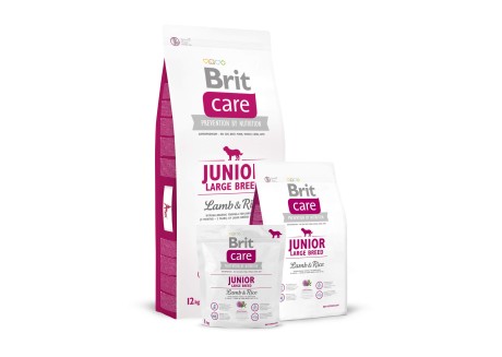 Сухой корм для собак Brit Care Junior Large Breed Lamb and Rice