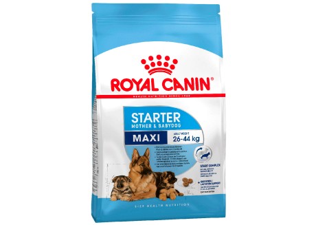 Сухой корм для щенков Royal Canin MAXI STARTER