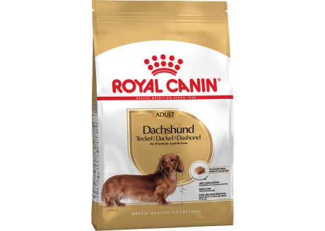 Сухой корм для собак Royal Canin DACHSHUND ADULT