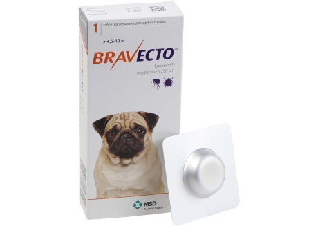 Таблетки от блох и клещей для собак Bravecto от 4,5 до 10 кг, 1 таблетка