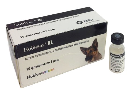 Вакцина для собак Нобивак R/L №10 (бешенство и лептоспироз) 1 доза