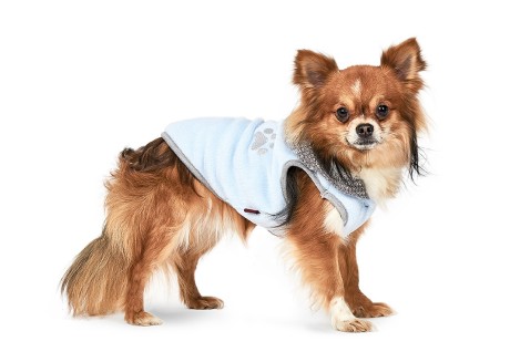 Жилет для собак Pet Fashion ЧИП