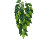 Растение для террариума Exo Terra Ficus