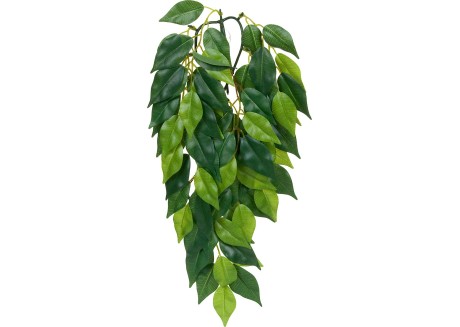 Растение для террариума Exo Terra Ficus