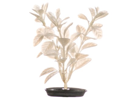 Растение пластиковое Hagen Ludwigia white pearl для аквариума