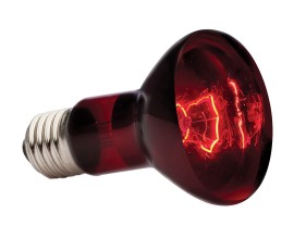 Лампа для террариума Exo Terra Infrared Basking Spot