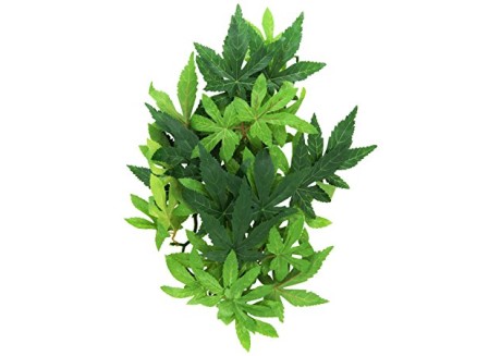 Растение для террариума Exo Terra Abuliton 45 см (PT3042)