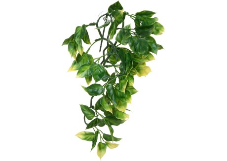 Растение для террариума Exo Terra Amapallo малое 32 см (PT3001)
