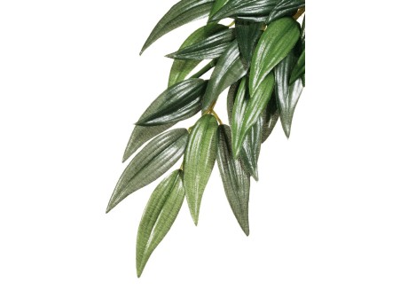 Растение для террариума Exo Terra Rucus большой 70 см (PT3051)