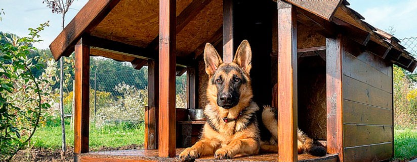 Будка для собаки своими руками | Чертежи и размеры будки для немецкой овчарки