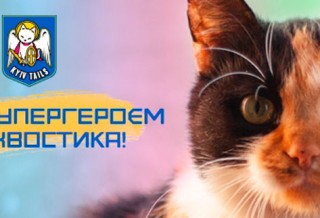 Фонд Киевские Хвостики – спасем животных вместе!