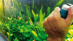 Как правильно ухаживать за аквариумом?