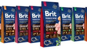 Обновление кормов для собак Brit Premium