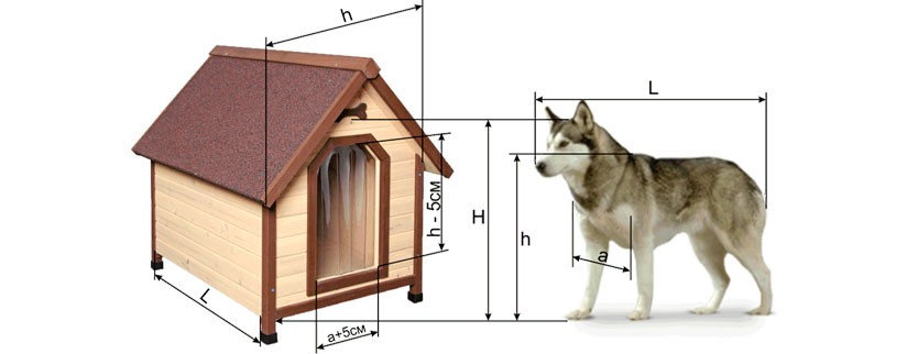 Выбор размера будки для собаки