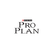 Pro Plan 